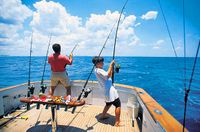 fishing_sport-fishing-in-florida
